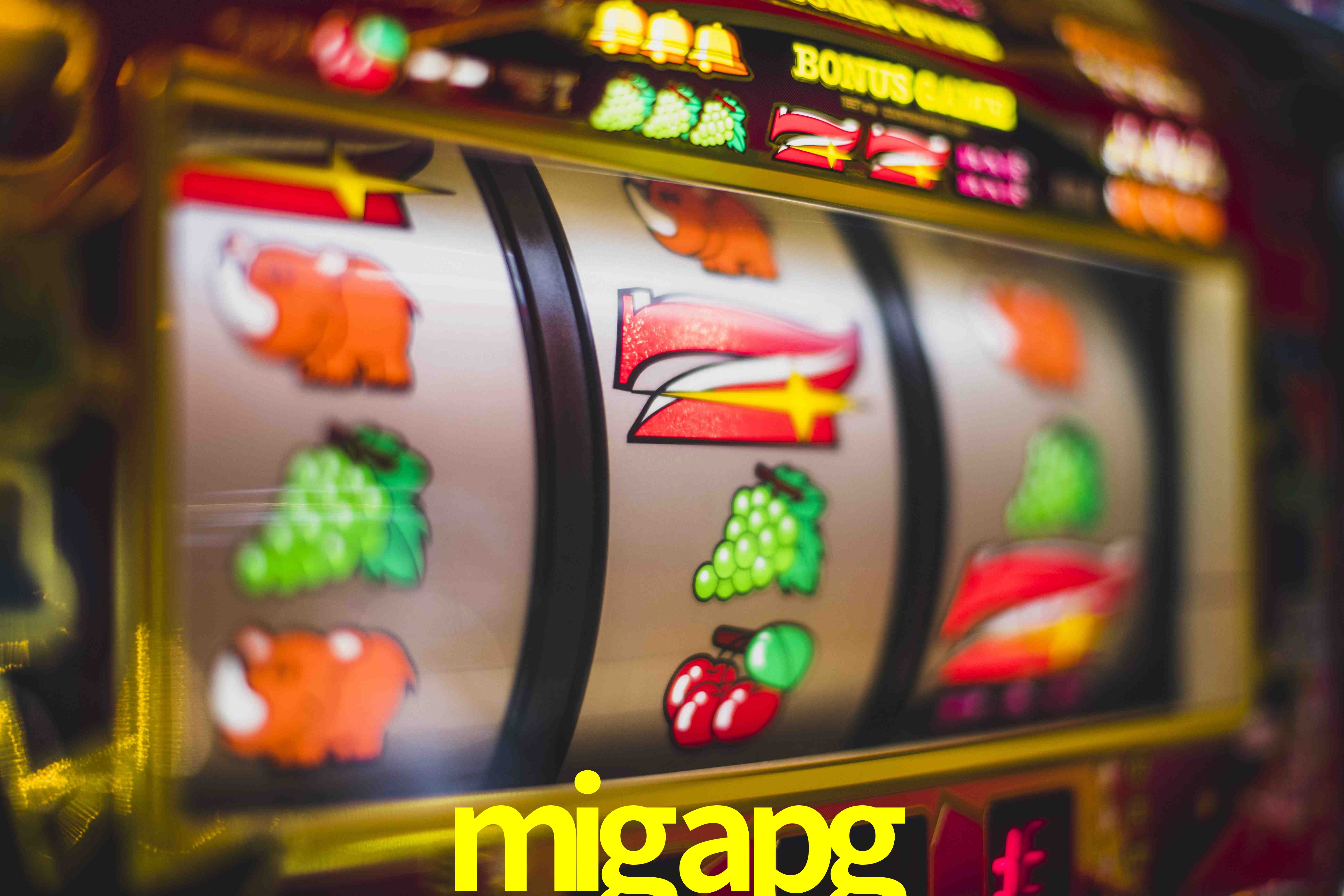 Experiência VIP migapg